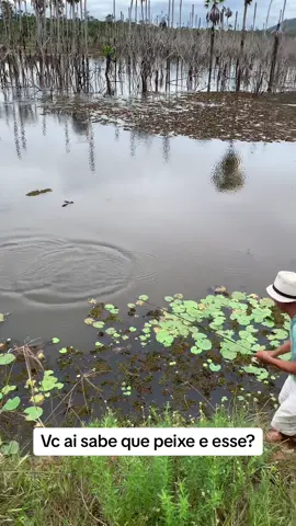 #fy #video #viral #pescaria 