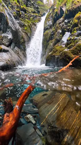 let's make a good and deep relaxation with beautiful water and bird's vocals🌊🕊️ #dronevideo #vocals #watersounds #livewallpapers #river #ultrahdwallpaper #4kvideo #foryourpage #8k📸 #4k #famous #fypシ゚viral #relaxingsounds #foryou #foryourpagetiktok #beautiful #fallingwater #lake #fypシ #watervideography 