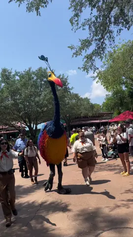 Strolling through @Disney Parks #disneyanimalkingdom #disneyworld #upmovie #funtime #disneytiktok #disneymom #disneyinfluencer 
