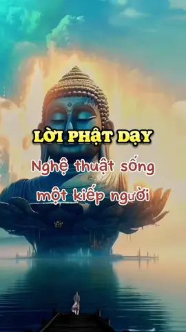 Lời Phật dạy về nghệ thuật sống của một kiếp người! Giác ngộ lời Phật dạy 🙏 #phatphapnhiemmau #nammoadidaphat #nammobonsuthichcamauniphat #phatgiao #phatphap #loiphatday #phatphapvadoisong #phatphapvobien #giacngo #đạophậtvàđờisống #nhữnglờiphậtdạy #phậttạitâm #kinhphật #ĐạoPhậtBìnhAn #phậtphápnhiệmmầu #phậtgiáo #phậtpháp #đạophật #phậtphápnhiệmmàu #xuhuong2023 #trending2023 #ynghiacuocsong 