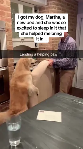 She couldn’t wait to get in the new bed at the end 😭😭🚨Follow @Pubity for your daily dose of uplifting content 🚨  #Pubity (angie newman via @ViralHog)