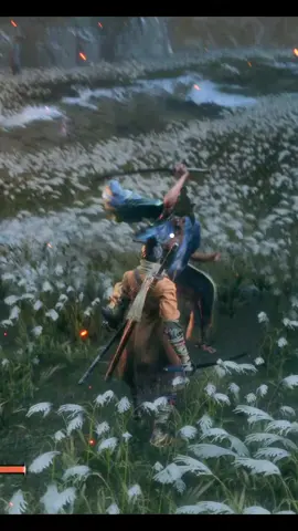 moment of peace #sekiro #sekiroshadowdietwice #ihavenoenemies #gaming #gamer