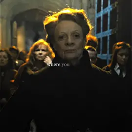 skyfall fits so well with the battle of hogwarts #harrypotter #hpedit #edit #battleofhogwarts #halfbloodsoc #mugglebornsoc 