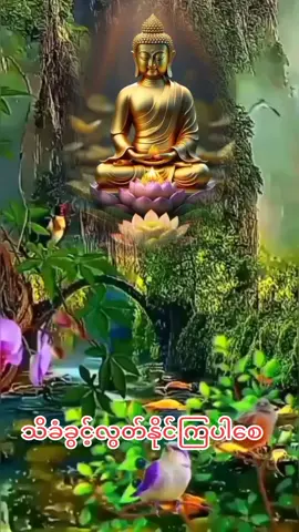 #foryou #duet #fyp #trending #တရားတော်များ #tiktok2023myanmar 