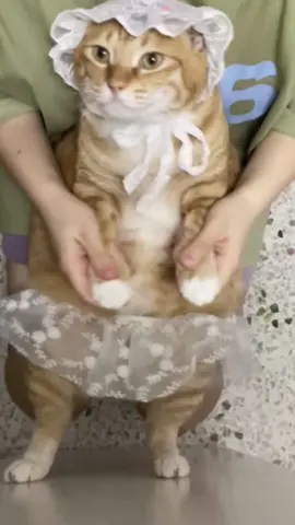 😂