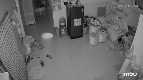 Mọi người cho e hỏi cái bóng trắng bay qua bay lại là gì ạ? Thấy camera báo có người vào xem cái nổi hết da gà 😭😭😭#thuongquoc #tamlinhlacothat #camau