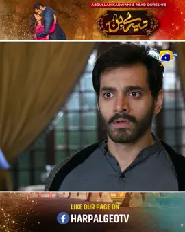 Rohail or Meerab ke rishtay ki asliat Murtasim ko pata chal gayi.. #whattowatch    #terebin    #yumnazaidi    #wahajali