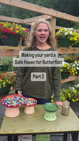 Butterfly puddlers are a great addition to your butterfly gardens! #butterfly #butterflies #butterflyhabitat #pollinator #pollinators #pollinatorsareimportant #pollinatorgarden #pollinatoryard #pollinatorgardening #pollinatorfriendly #garden #gardening #gardentok #gardentips #gardentipsandtricks #gardentipsforbeginners #gardenhacks #gardeninghacks 
