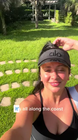Exploring 🌴Hugh Taylor Birch State Park 🌊in Fort Lauderdale is one of my favorite ways to reconnect with nature 🌿! @parkandocean #FLNature #FortLauderdale #SunshineState 🌞