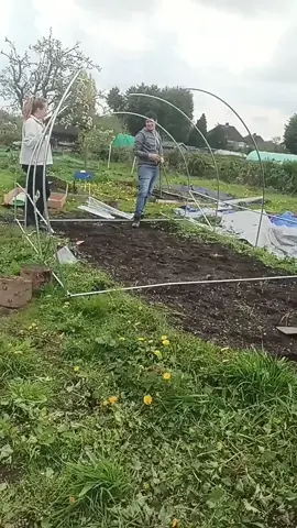 #workinghard on putting up our #polytunnel We both really enjoy #allotment because is one of those things we do together and we also spend the day out. In #UK having a polytunnel is almost #scential if you want to grow #veggies that would be killed with the #frost #fypシ゚viral #fypシ 