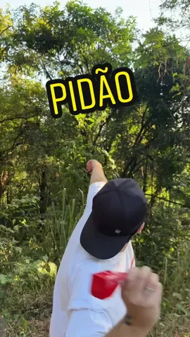 Vocês falam biscoito ou bolacha?? 🍪