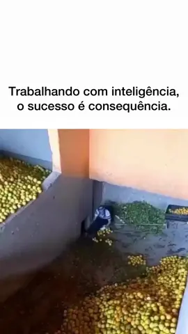 Deixe um ❤️ se esse conteúdo fez sentido pra você 😃