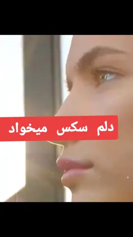#هزارگی #ایران #viral #fyp #تیک_تاک_افغانی #سادات_پشتون_تاجیک_هزاره #شیعه_سنی_برادر_است #وطن #duo #پشتون_تاجیک_اوزبیک_هزاره_ #پشتون_تاجیک_اوزبیک_هزاره_ #kabul #kabul 