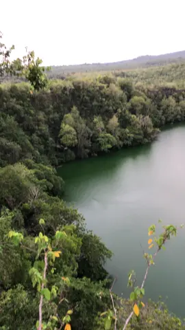 Pertma kali lihat buaya di danau tolire besar #fypシ゚viral #malukuutara #ternate_malukuutara @Arhy 
