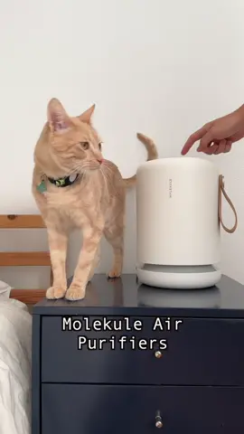 #molekulepartner Even though I live with my two cats, Penny and @Felix 🐱 , clean air is still possible because of @Molekule. Molekule uses PECO-HEPA Tri-power filters to capture and destroy pet dander and other allergens so friends and family can stay over and have peace of mind! #molekuleair #molekule #mymolekule