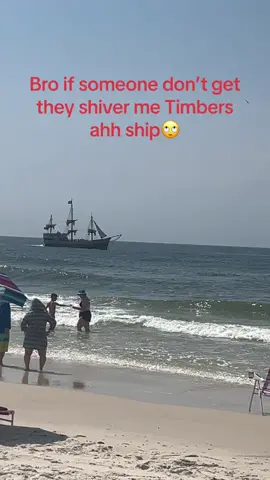 #scallywag #shivermetimbers #piratesofthecaribbean #orangebeach  #pirateship #beach #fyp #viral 
