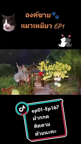 #VoiceEffects องค์ชาย แมวเหมียว Ep 01 ลงวันละ5คลิปค่ะ ลงทุกวัน ฝากกดติดตามด้วยนะคะ ขอบคุณค่ะ#องค์ชายแมวเหมียว #องค์ชายข้าใครอย่าแตะ #ทาส