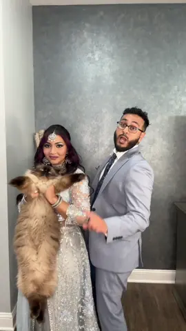 Sheru passed the ragdoll test 🤣 #browncouple #tiktokfam #pakistanifamily #catsoftiktok #noway #dmvmakeupartist #shaadiseason #ragdollcat 