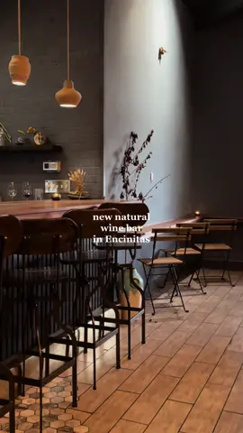 natural wine bar wirh elevated mexican cuisine in encinitas #thingstodo #encinitas #winebar #naturalwine #naturalwinetok #sandiegohiddengems 