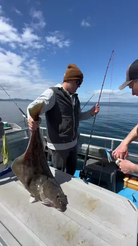 Caught our limit of Halibut! 10/10 recommend booking a guided fishing or hunting trip with my guy Lucas Clark at Game Creek Guides out of Hoonah, Alaska. Not only is he a heck of a guide, but an even better person. #halibut #halibutfishing #fishing #alaska #Outdoors 