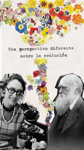 🌸 una perspectiva diferente sobre la teoría de la evolución #mixedmediaanimation #asmrvozrelajante #charlesdarwin #aprender #lynnmargulis 