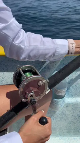 🎣Etiqueta a tu amigo que no pescaria nada😂 🐟 La Paz Baja California Sur 🌵 Pesca🏜️ #lapaz #lapazbcs #lapazbajacaliforniasur🏖🌴🌅🌵 #fishinglife #aprendiendoentiktok #saltlife #pesca #pescado #pescadeportiva #pescando #jurel #fishing #fishinglife #sportfishing #laventanabcs #elsargentobcs #pescaycocina #salty #saltylife #beachlife #bajamolinitoexperience  