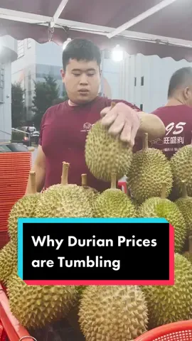It’s officially #durian season in #Singapore and the price of the #fruit is at the lowest in years. Isabel Kua explains why. #food #Foodie