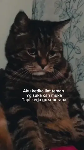 #temanbangsat🔥🐊😂 