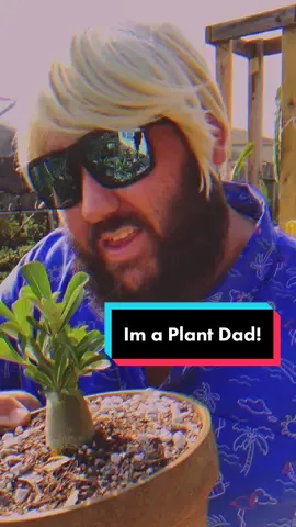 I’m a Plant Dad! #plantdad #plantdaddy #planttiktok #texasgardenguy #texasgardening #texas #gardeninghacks #gardentok #gardenproject #gardening #garden #gardencomedy #comedy #viraltiktok #imaplantdad 