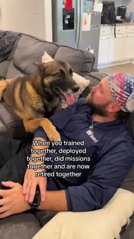 Rider can be found right next to his dad at all times. Rider served 6 yrs #retiredmwd #militaryworkingdog #mwdretiredlife #mwd #dog #dogsoftiktok #gsd #k9 #retired #foryou #foryoupage #fyp #military #rider 