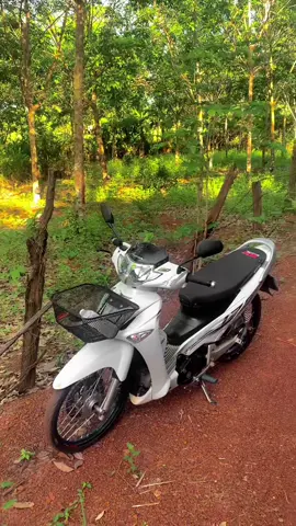 ล้อดำเข้ามั้ยค้าบ#125cc #125บังลม #ตรอ_ตรงรุ่น 