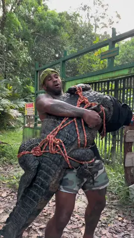 Ever got dropepd by a croc 🤣 #fyp #croc #animals #indonesia 