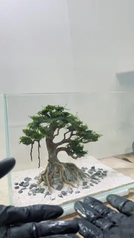 Enjoy this therapeutic process of setting up a tank for our client! Don't miss out on our FREE AQUARIUM DEALS! Shop Now via Link in Bio! 🤩 #aquascapemalaysia #bonsaiaquascape #aquariumhobby #aquaticplants #plantedtank #aquatic #aquarium #tumbuhanaquatic #aquariumsdaily #hobi #decor #homedecorideas #aquascapehobby #aquascapers #aquascapedesign #plantedfishtank #nanotank #dooa #Fluval #aquasdesign #aquariumfish #paludarium #aquascaping #mossarium #nature #nanocube #plantedaquascape