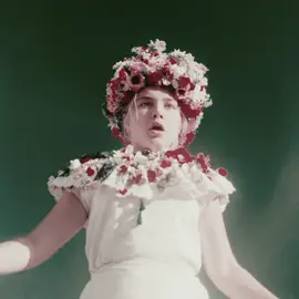 summer solstice                                                                                                                                          #midsommar #midsommaredit #aftereffects #aestheticedits #fyp