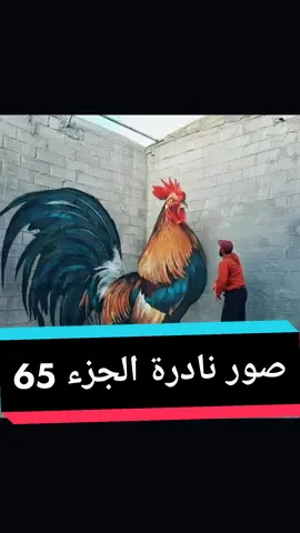 صور نادرة وغريبة الجزء65 #غرائب_وعجائب #الشعب_الصيني_ماله_حل😂😂 #بابل_الحله #CaptureRamadanSpark #بابل_العراق #سيف_بن_علي_الجنابي #مشاهير_تيك_توك #الحلة_بابل #ترند_تيك_توك 