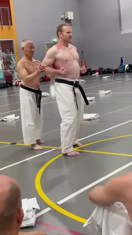 What’s bro training for? (via @nationalgojukarate_brisbane/IG)#taekwondo #training #slapfight 