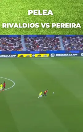 🔥PELEA PEREIRA VS RIVALDIOS🔥 PARTIDO DE YOUTUBERS #pereira #rivaldios