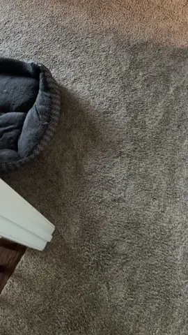 Pov telling parents you threw up. Mom vs dad #fyp #parents #foryou #sleep @Alexis and Ruby 😎 