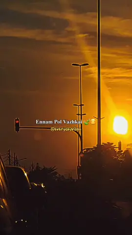 🍃 #morning #motivated #everydayvibee #fyp #fypシ゚viral #tiktokmalaysia #stephenzachariah🌹 #naam #tiktokmusic #tamil #Love #daddaughter #goals #lovingfather #aesthetic #hopeful #vibe #feel #tamilnadu #singapore #tiktokviral #FathersDay #pain #singledad #happiness #indian #kollywoodsound #music #rupinisuriavelan #cute #talaphathy👑👑 #tamilsong #tamilmemes #tamilmemesmalaysia #tamilan #chennai #tamilbgm #trending #tamilstatus #trending #tamilmoviescenes #videoviral #thala #tamilbgm #tamilcomedy #memestiktok #single #couple #goals #1millionaudition #sad 