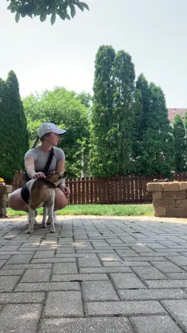 The most unaesthetic video youll watch #CapCut #dogsitting #dogsitter #dogwalk #dogwalkersoftiktok #summervibes 