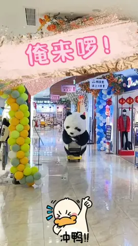 những pha chạy xúc quần như chơi của a gấu mụp 😜 #xuhuong #xuhuongtiktok #haihuoc #funny #fyp 