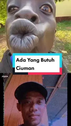 #Semuaorang butuh Ciuman #FredyShorts 