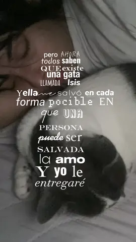 #MeSalvo 