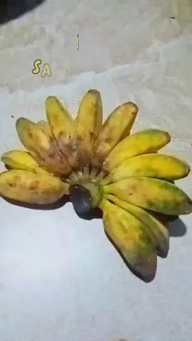 Goreng pisang #makandirumah #gorengpisang  #masakanrumahan 