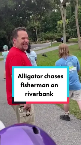 A fisherman in South Carolina found himself metres away from a charging alligator as eyewitnesses captured the scene. The incident occured on Hilton Head island, and screams could he heard from onlookers as the creature emerged from the river. #fyp #fypシ #news #viral #trending #fy #usa 