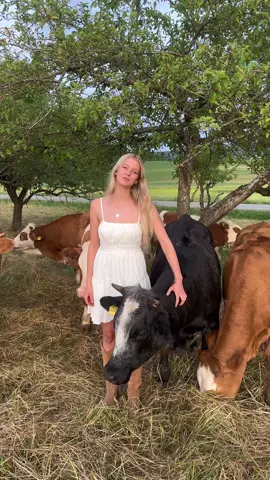 |Werbung| Habt ihr schon die neue Serie Farm Rebellion auf #disneyplus gesehen? Wenn nicht, dann schaut euch jetzt unbedingt mein Video bis zum Ende an, denn die Serie ist nicht nur unfassbar informativ, sondern auch sehr unterhaltsam! #FarmRebellion #Serientipp @Disneyde 