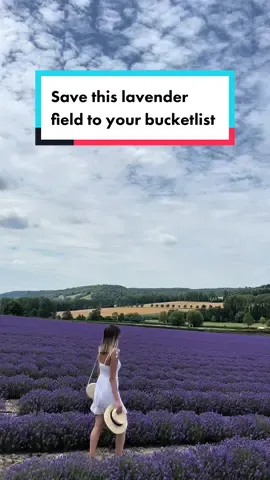 You need to see this lavender field in Kent🌸 You’ll have time until late July🧚 I went to this field last year around early July and I choose a lavender picnic ticket which was  £13 #lavender #lavenderfield #traveltiktoks #fyp #uktravel 