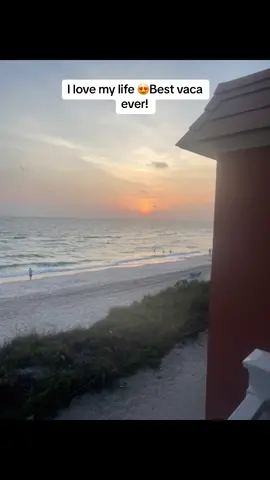Turtle 🐢Beach 2023 #siestakey #vaca #BestFriends #beachlife #gulfcoast #gulfcoastliving #momsofseniors 