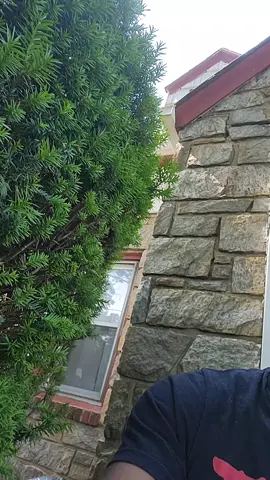 #🇯🇲 #flyguyyagga #🇯🇲 