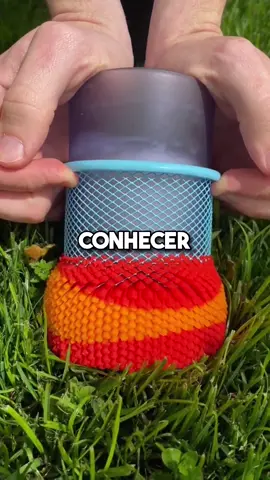 curiosidades que podem te assustar #curiosidades #conhecimento #fy #fyp #paravoce #viral 